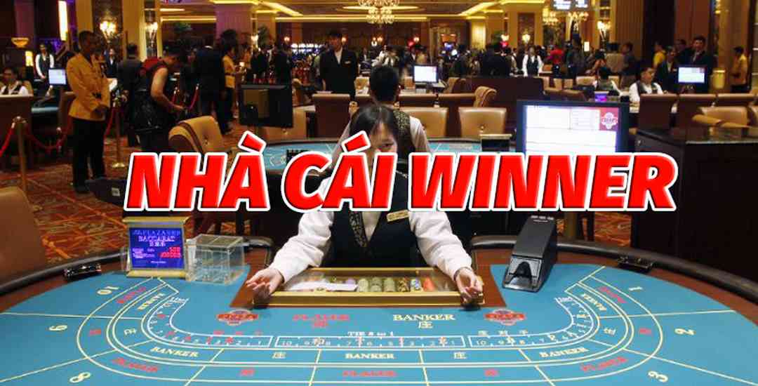 Những sản phẩm cá cược Winner nổi bật