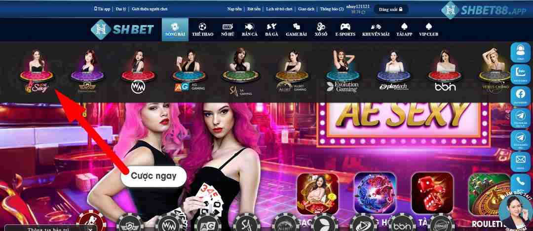 AE Sexy - Nhà cung ứng trò chơi trực tuyến hàng đầu