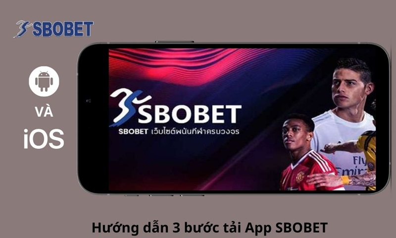 Tải app Sbobet cần những điều kiện gì?