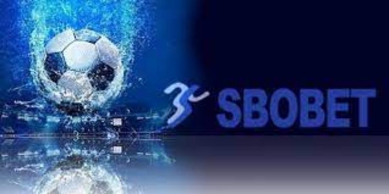 Sbobet - Nhà cái uy tín cung cấp đa dạng sảnh cược thể thao